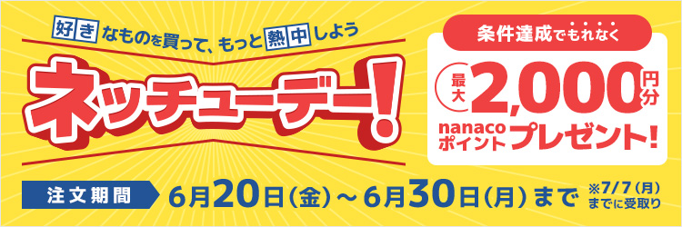 ネッチューデー！条件達成でもれなく最大2000円分のnanacoポイントプレゼント！