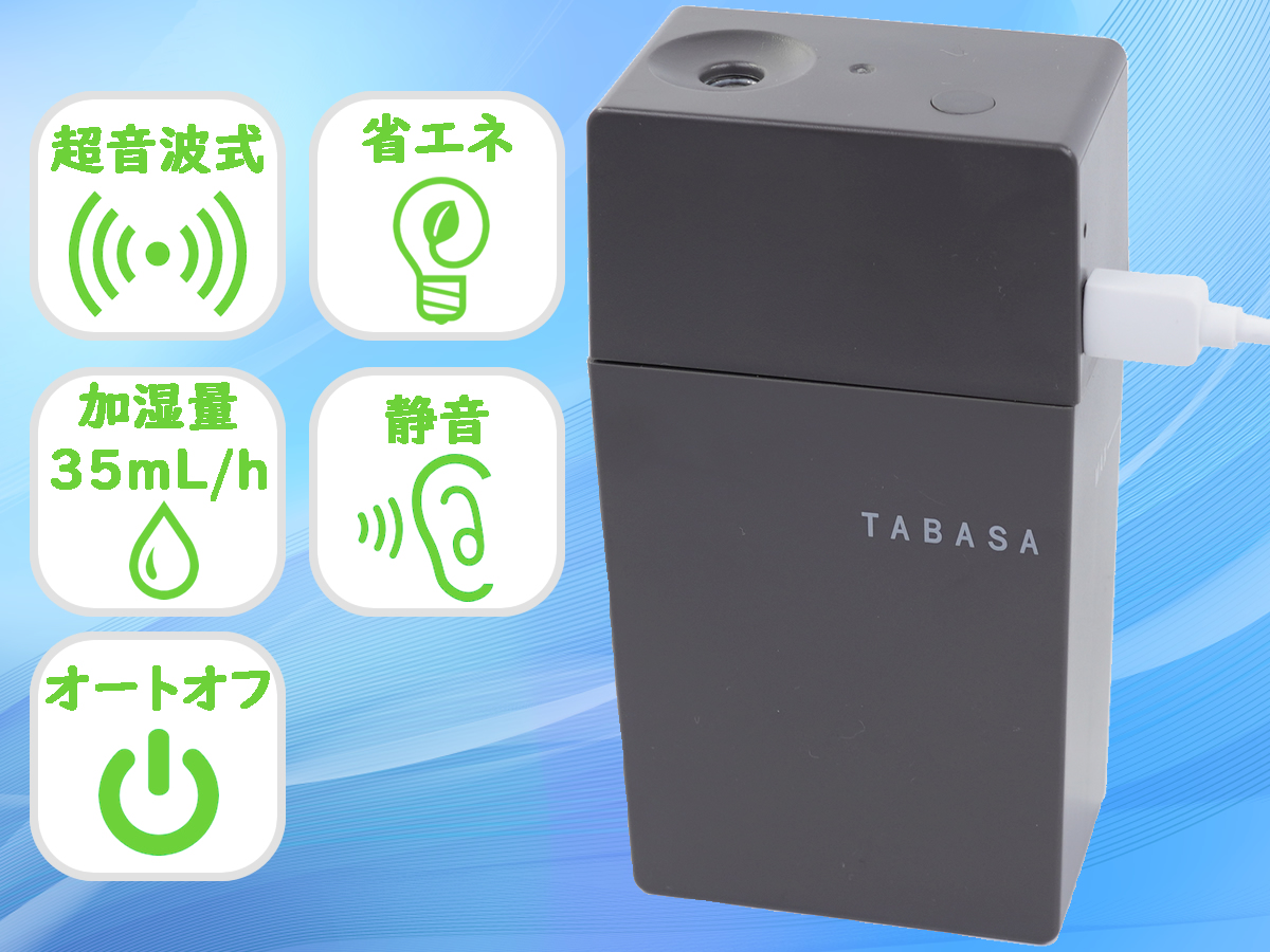 大人のおしゃれ手帖 2021年1月号増刊加湿器