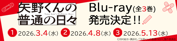 矢野くんの普通の日々