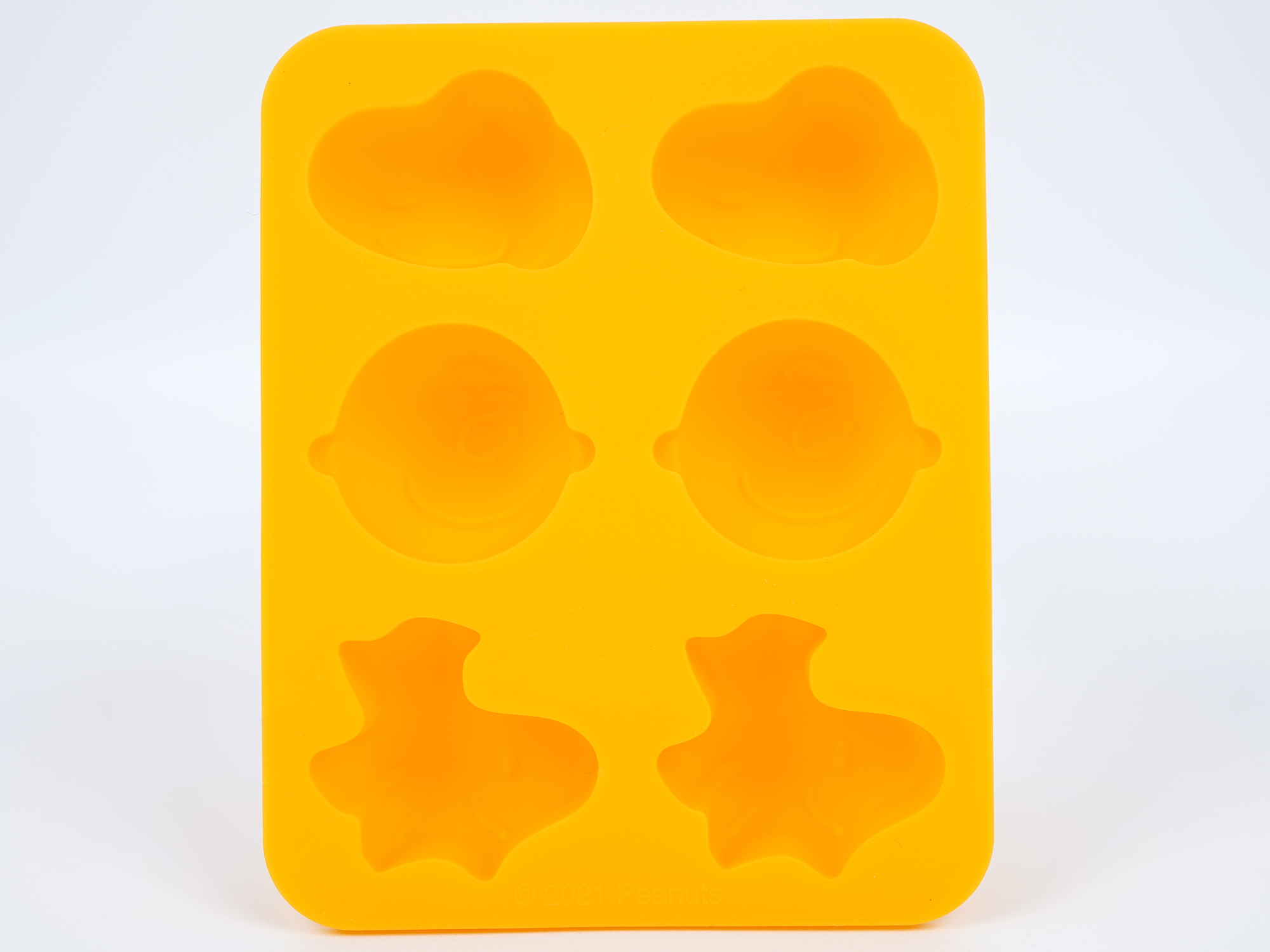 アイストレー表