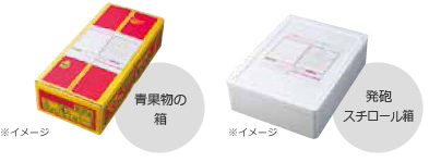 包装指定不可 青化物の箱 発砲スチロール箱