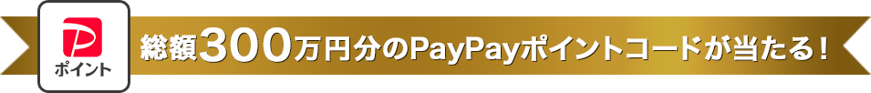 抽選で最大50,000円分のクーポンが当たる！