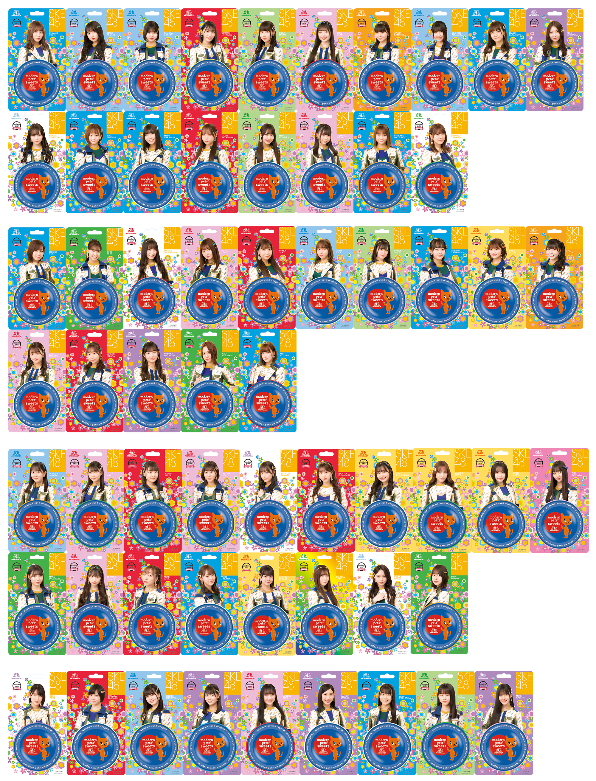 modernpetssweets×ske48