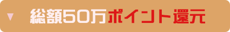 総額50万ポイント還元！