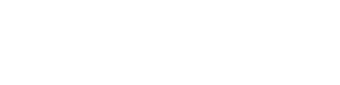 作品概要