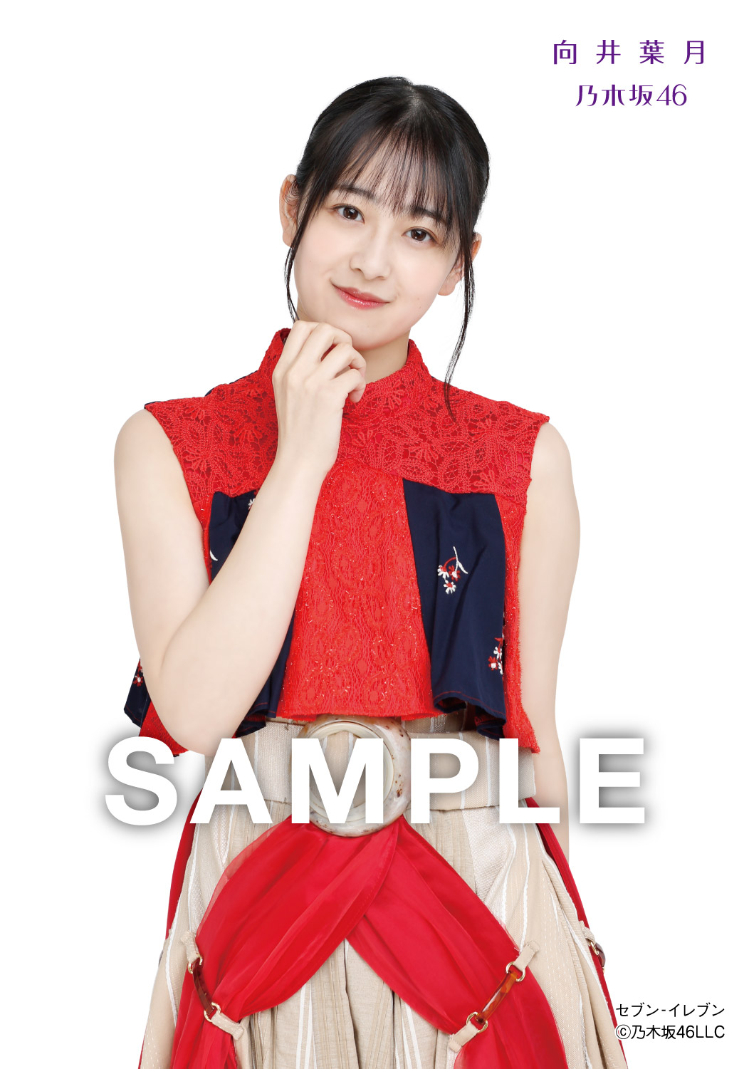向井葉月