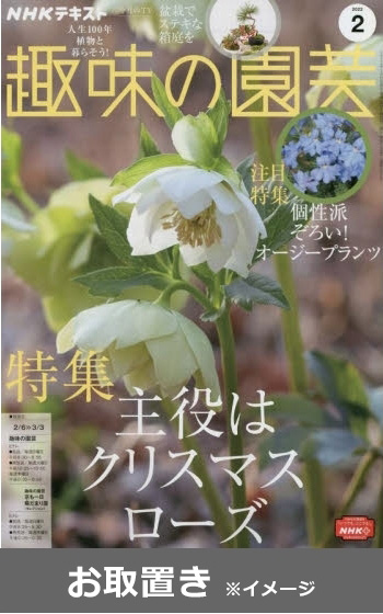 趣味の園芸　テキスト写真