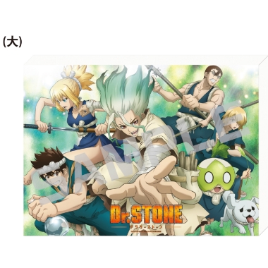 Ｄｒ．ＳＴＯＮＥ／キャンバスアートボード（大）／集合．ｖｅｒ