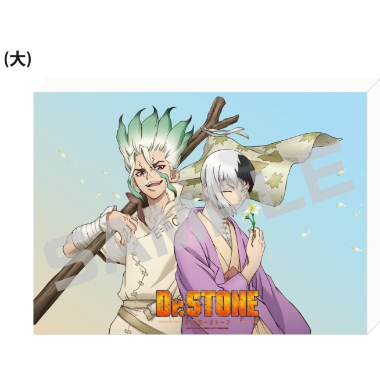 Ｄｒ．ＳＴＯＮＥ／キャンバスアートボード（大）／千空&ゲン．ｖｅｒ