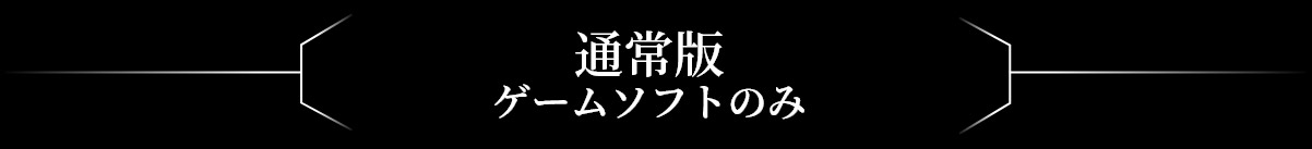 通常版　ゲームソフトのみ