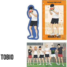 KAGEYAMA TOBIO 影山 飛雄