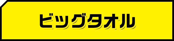 ビッグタオル