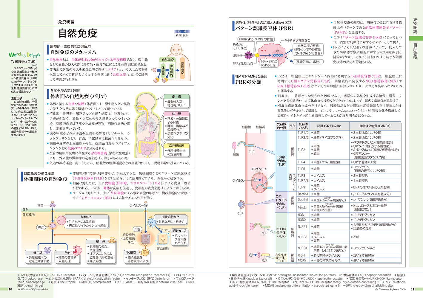 病気がみえる vol.6 免疫・膠原病・感染症 第２版 免疫・膠原病