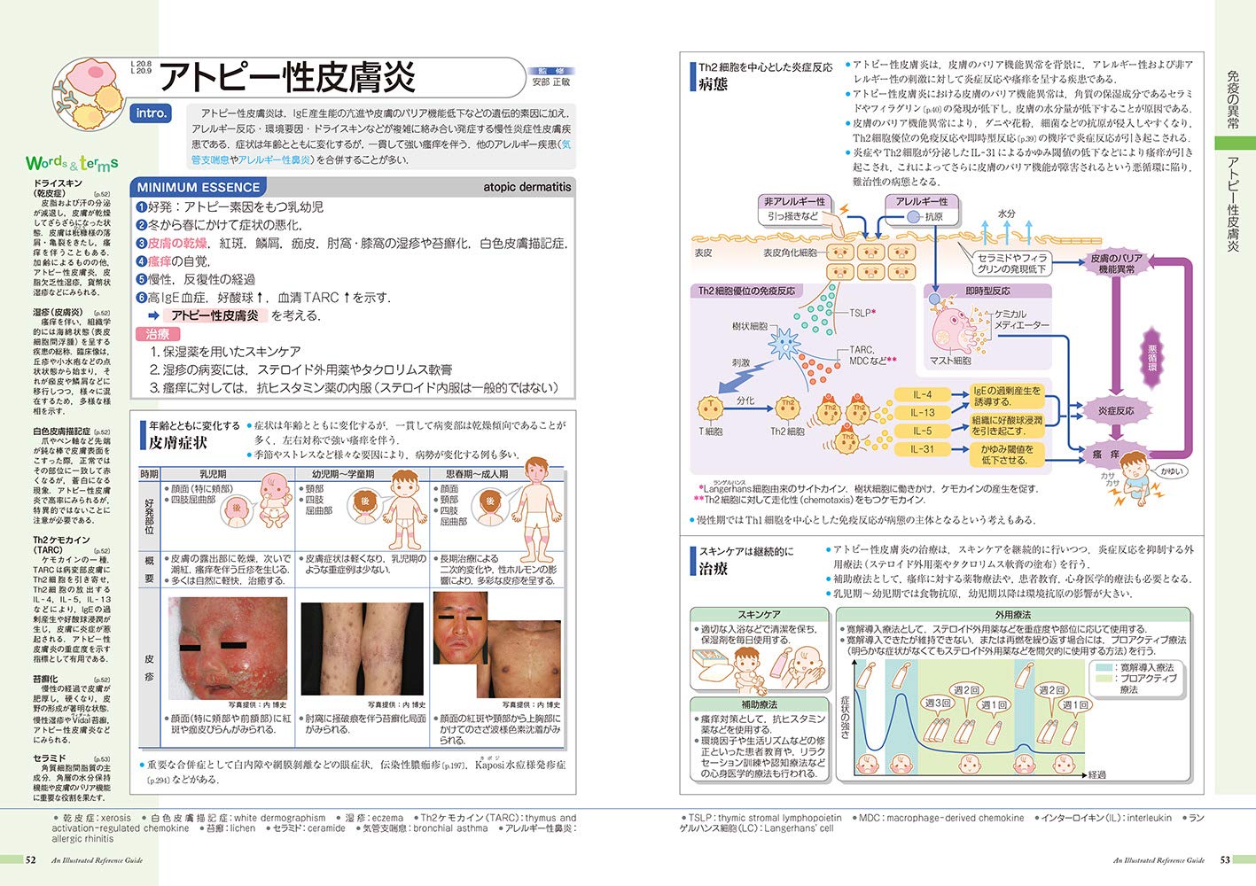 病気がみえる vol.6 免疫・膠原病・感染症 第２版 免疫・膠原病・感染