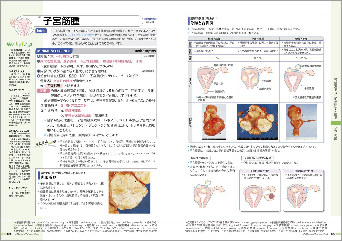 病気がみえる vol.9 婦人科・乳腺外科 第４版 婦人科・乳腺外科 通販