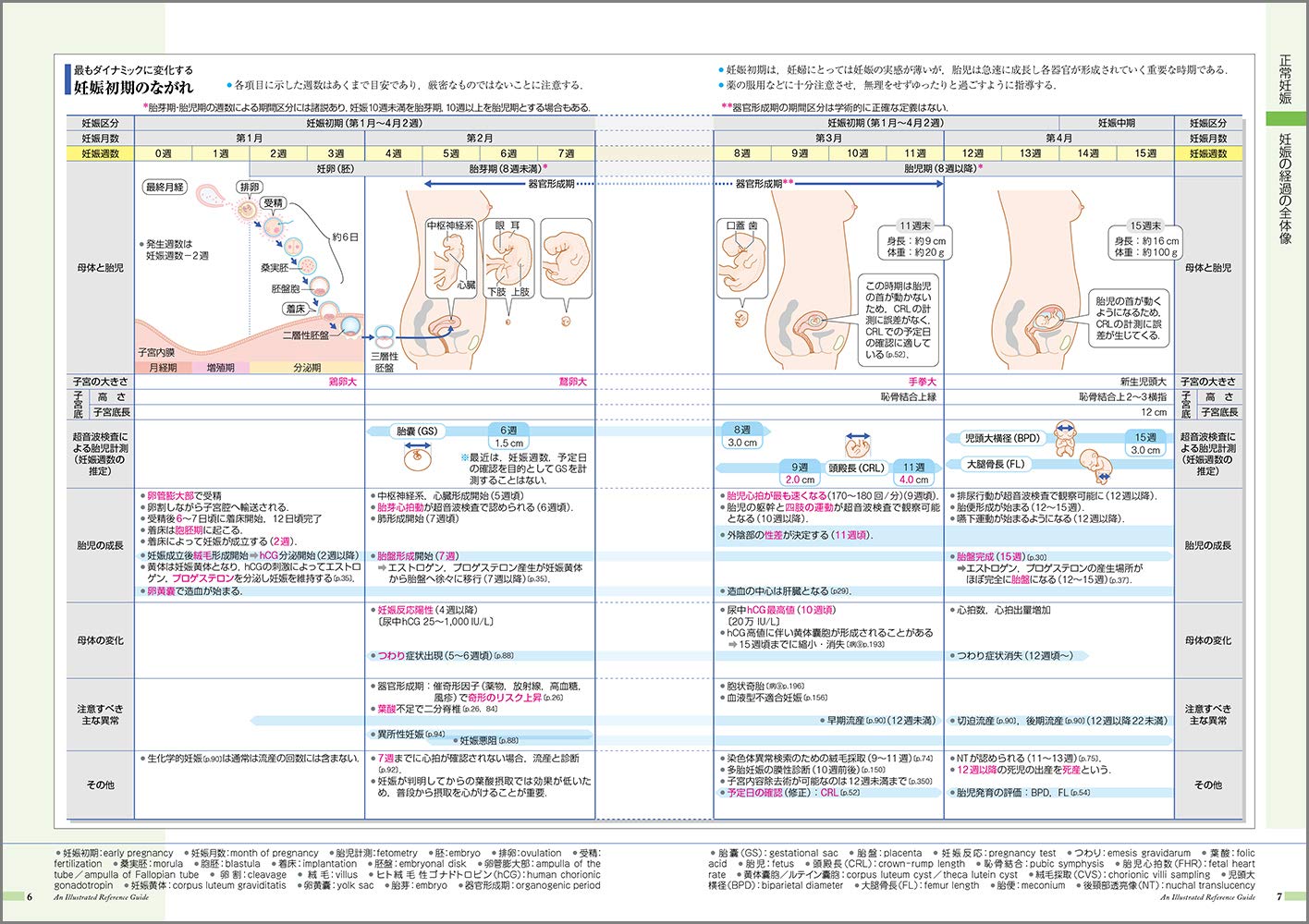 病気がみえる vol.10 産科 第４版 産科 通販｜セブンネットショッピング