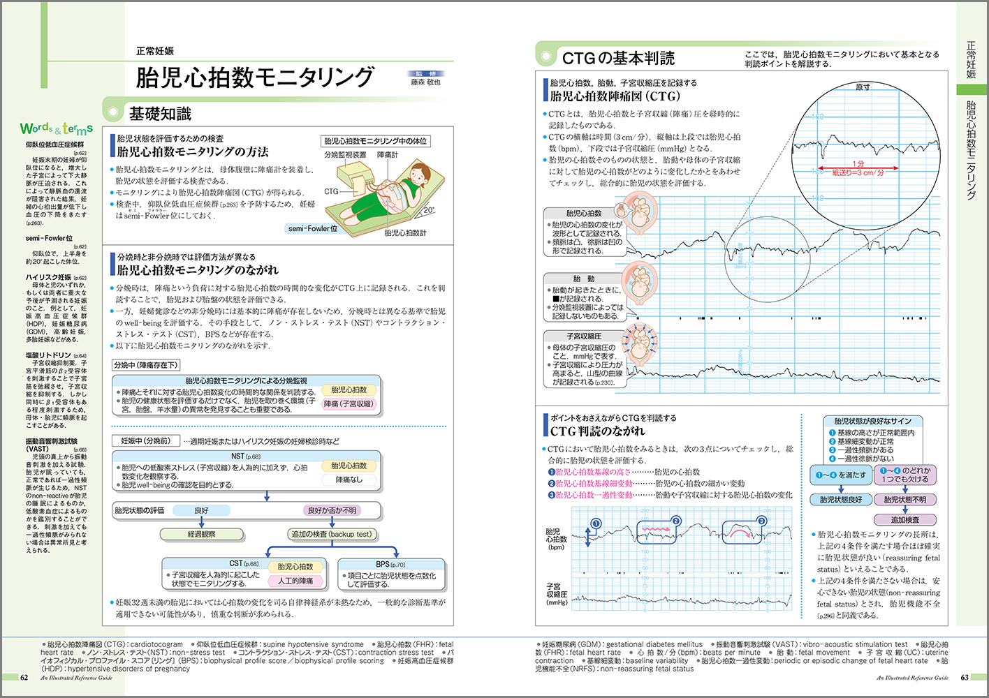 病気がみえる vol.10 産科 第４版 産科 通販｜セブンネットショッピング