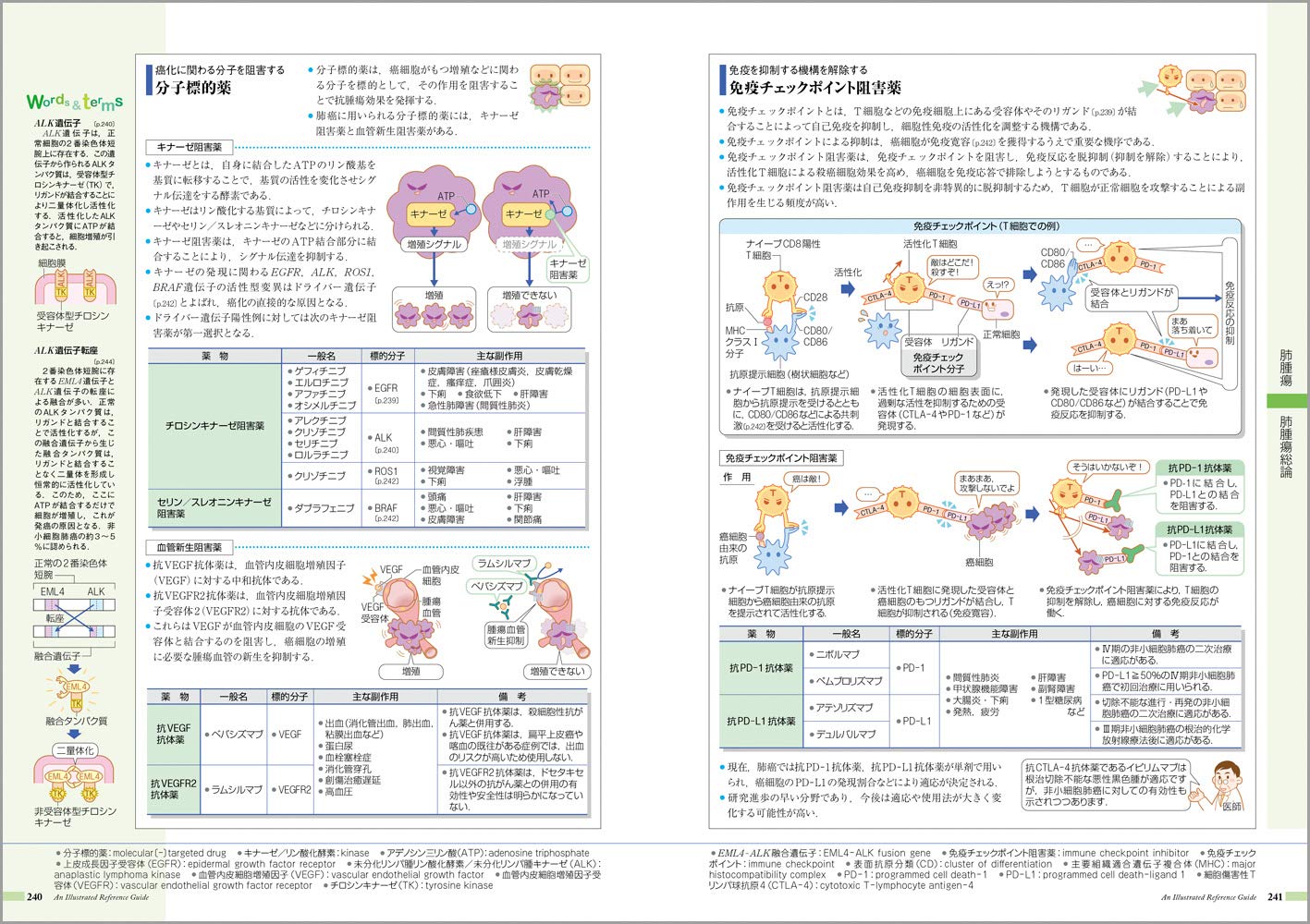 病気がみえる４ 呼吸器 - 本