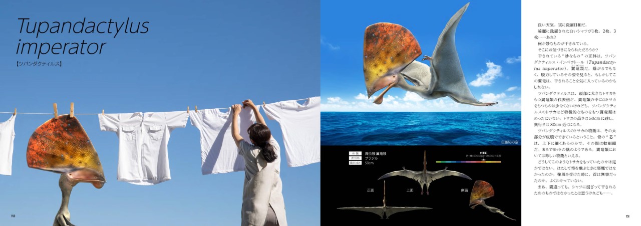 リアルサイズ古生物図鑑 古生物のサイズが実感できる！ 中生代編 通販