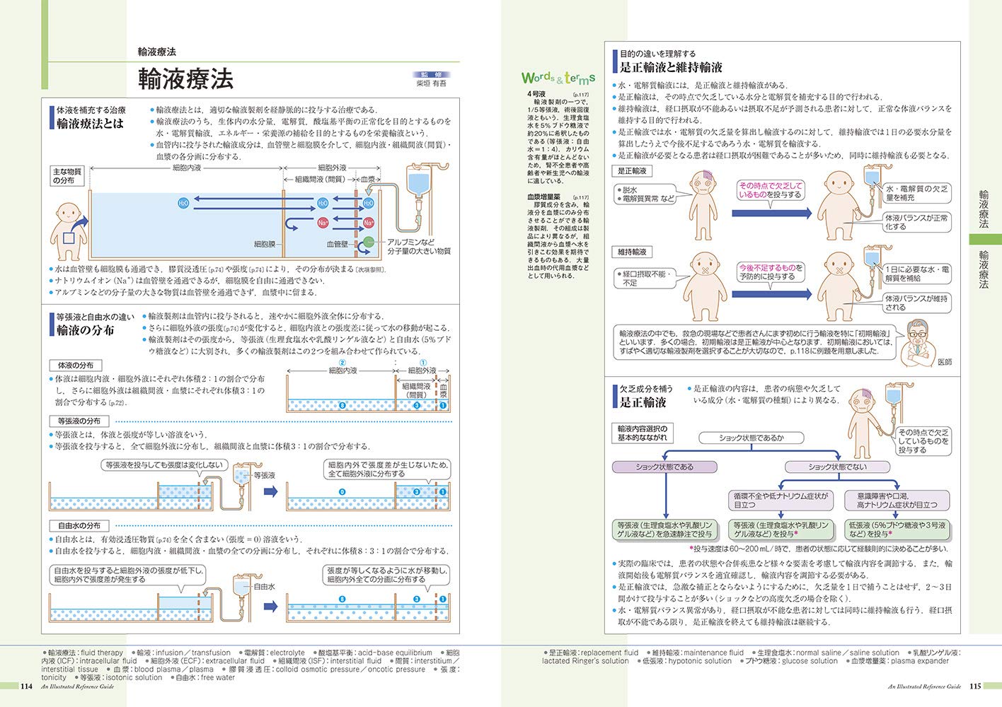 病気がみえる vol.8 腎・泌尿器 第３版 腎・泌尿器 通販｜セブンネット