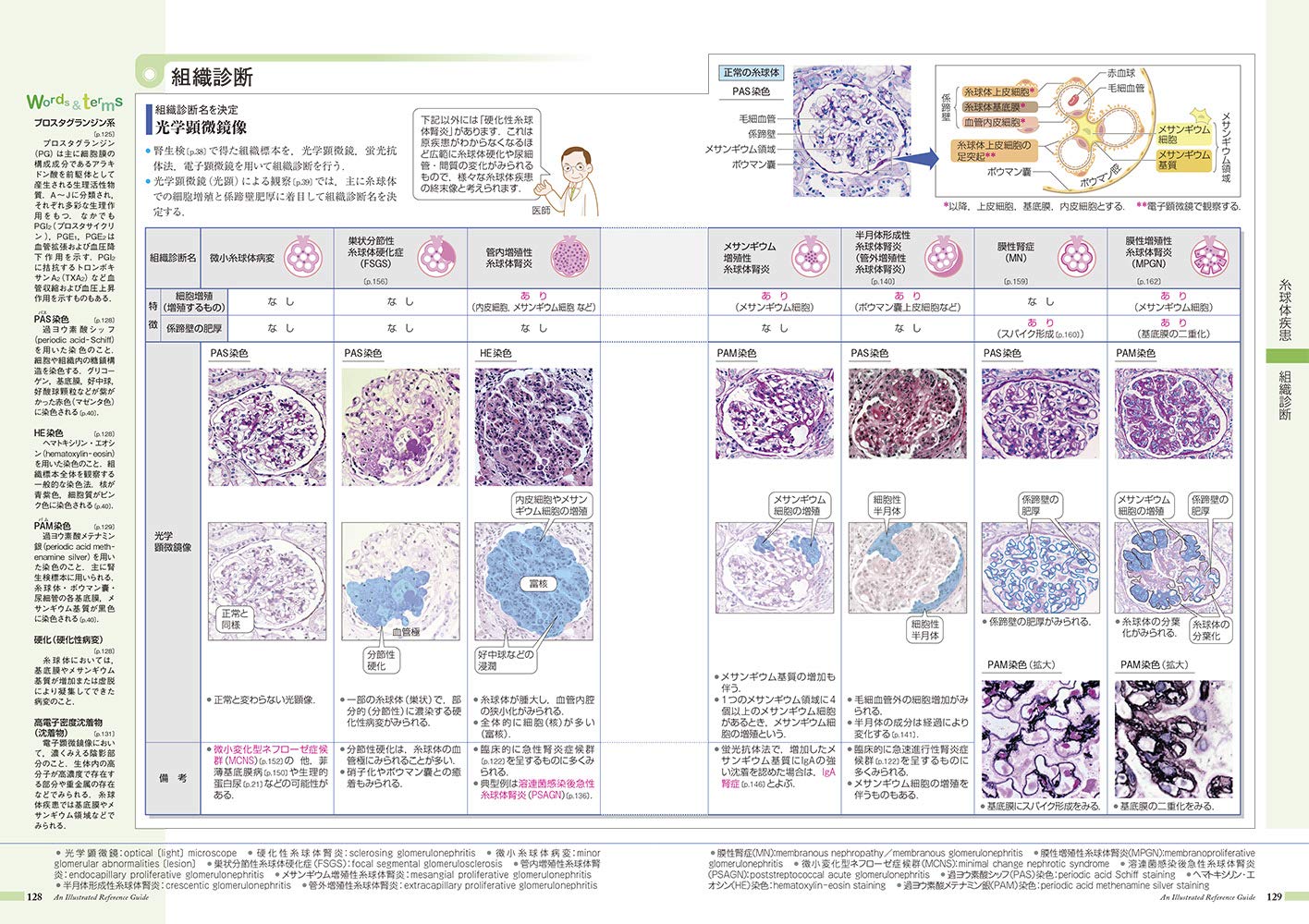 病気がみえる vol.8 腎・泌尿器 第３版 腎・泌尿器 通販｜セブンネット