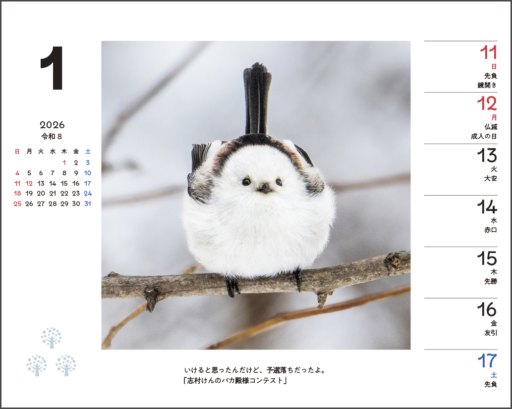 シマエナガと森の仲間たちWeeklyカレンダー2026卓上 通販