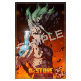Ｄｒ．ＳＴＯＮＥ／メタライズアート／１期ティザーＡ．ｖｅｒ