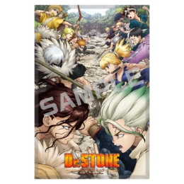 Ｄｒ．ＳＴＯＮＥ／メタライズアート／２期キービジュアル．ｖｅｒ