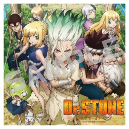 Ｄｒ．ＳＴＯＮＥ／アクリルアート／１期キービジュアルA．ｖｅｒ