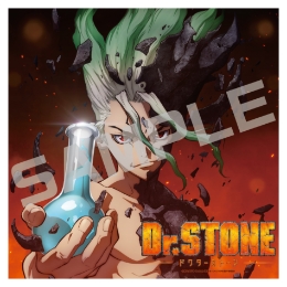 Ｄｒ．ＳＴＯＮＥ／アクリルアート／１期ティザーＡ．ｖｅｒ