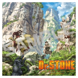 Ｄｒ．ＳＴＯＮＥ／アクリルアート／１期ティザー B．ｖｅｒ