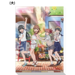 とある科学の超電磁砲T／キャンバスアートボード（大）／4人集合．ｖｅｒ