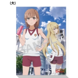 とある科学の超電磁砲T／キャンバスアートボード（大）／ティザー．ｖｅｒ
