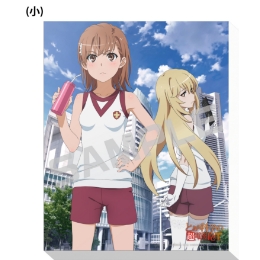 とある科学の超電磁砲T／キャンバスアートボード（小）／ティザー．ｖｅｒ