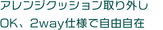 アレンジクッション取り外しOK、2way仕様で自由自在