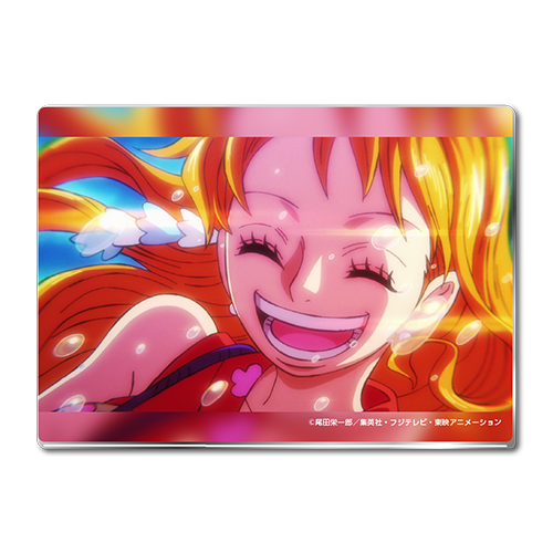 ワンピースセブンネット限定グッズ（メタルプレート）