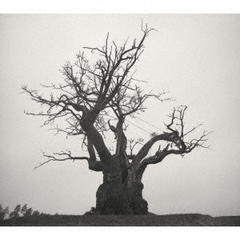 SEKAI NO OWARI 2010-2019（通常盤／2CD）