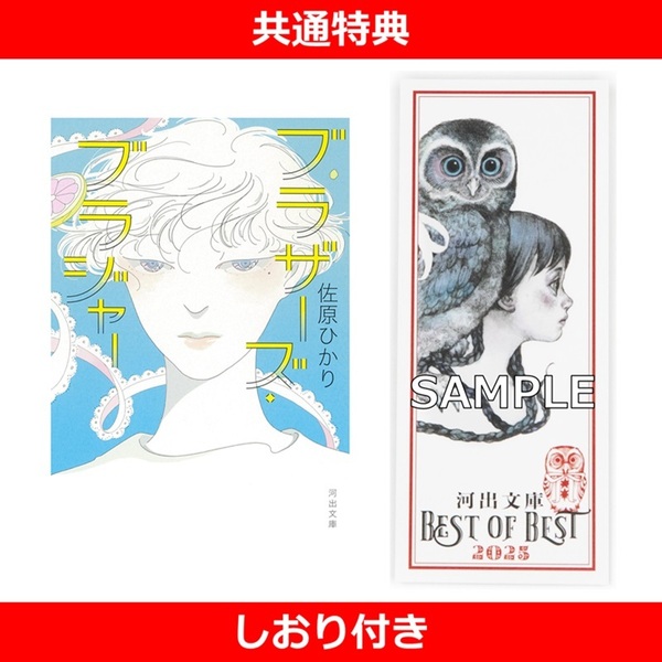 ブラザーズ・ブラジャー【共通特典：しおり付き】