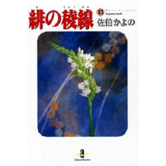 緋の稜線　１３