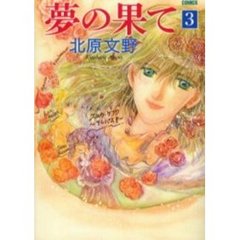 夢の果て　３