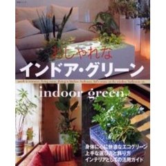 おしゃれなインドア・グリーン