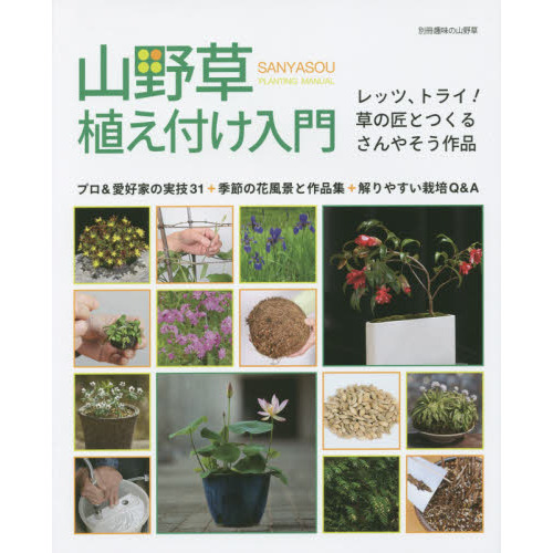 ֥ͥåȥåԥ󥰤㤨ֻ𿢤դ硡åġȥ饤ξȤĤ뤵䤽ʡפβǤʤ1,527ߤˤʤޤ