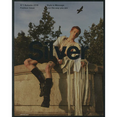 Silver (メディアボーイムック) 　Ｓｔｙｌｅ　ｉｓ　Ｍｅｓｓａｇｅ　Ｌｉｖｅ　ｔｈｅ　ｗａｙ　ｙｏｕ　ａｒｅ