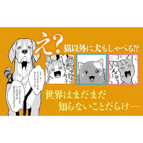 猫と竜 9 通販｜セブンネットショッピング