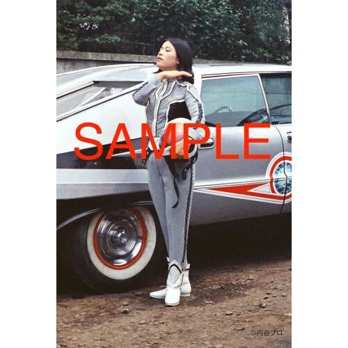 days of ANNE 1967－2008 通販｜セブンネット