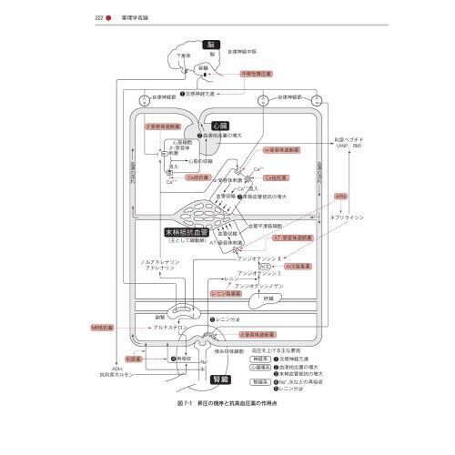 薬理学 疾病の成り立ちと回復の促進 第４版 通販｜セブンネット