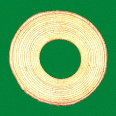 THE HIGH-LOWS／バームクーヘン（CD）