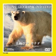 ナショナル・ジオグラフィック 北極グマ カナダ（ＤＶＤ）