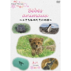 NHK DVD Bebes d’animaux －小さな動物たちの物語－（ＤＶＤ）