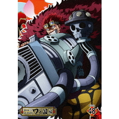ONE PIECE ワンピース 20th SEASON ワノ国編 piece.48（ＤＶＤ）
